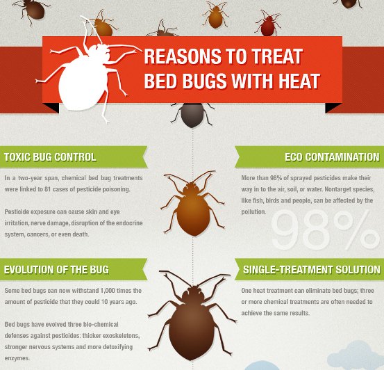 reasons to treat bed bugs with heat
