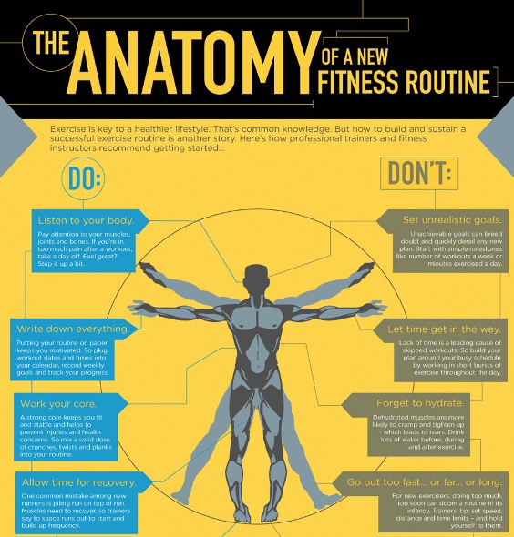 the anatomy of a new fitness routine
