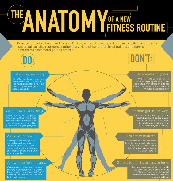 the anatomy of a new fitness routine