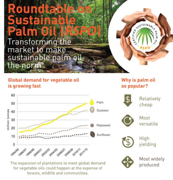what is the roundtable on sustainable palm oil