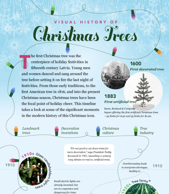 History And Traditions Of A Christmas Trees Infographic