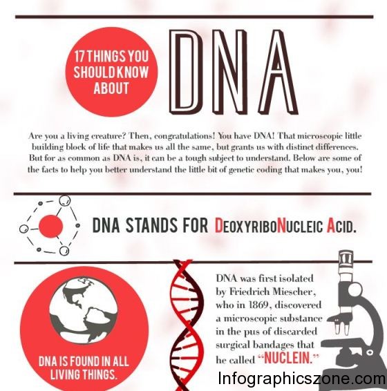 17 things you should know about DNA 1