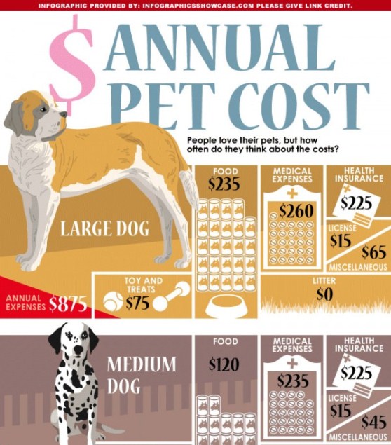 annual pet cost 1