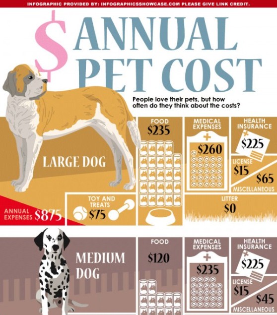 annual cost of dog food