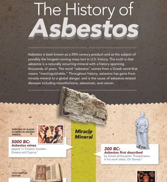 the history of asbestos 1