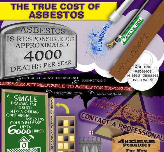 the true cost of asbestos 1