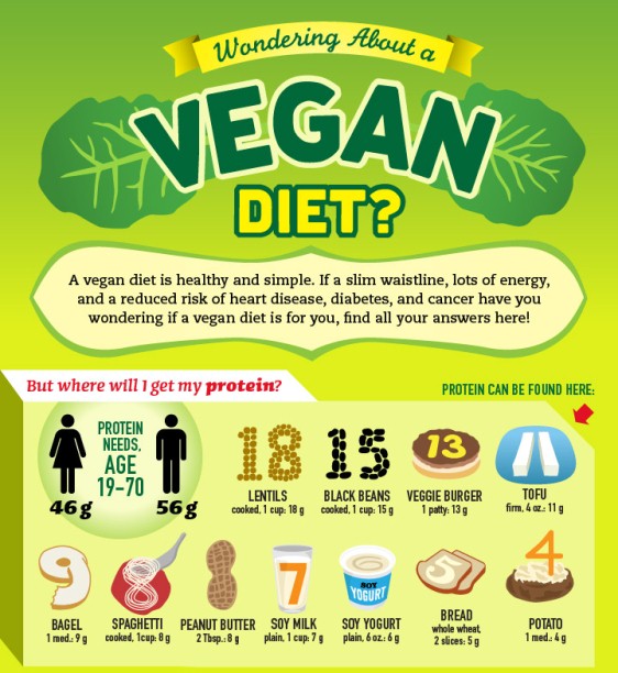 Wondering About A Vegan Diet Infographic
