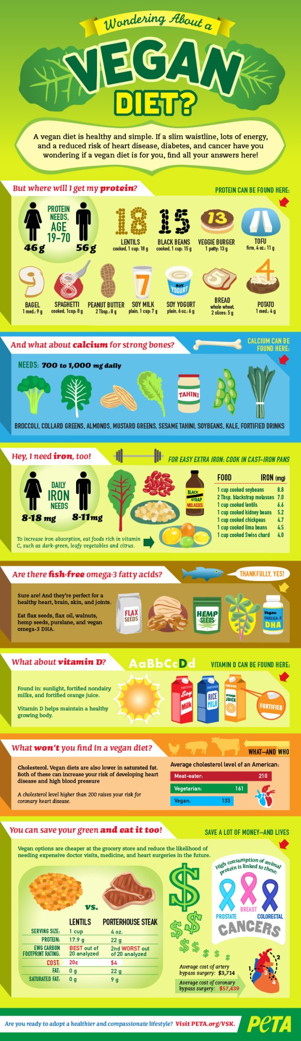 Wondering About A Vegan Diet Infographic