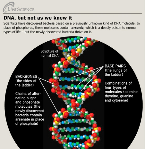 DNA, but not as we know it 1