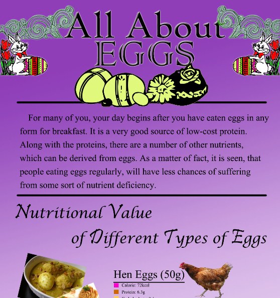 all about eggs 1
