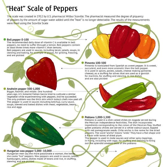 heat scale of peppers 1