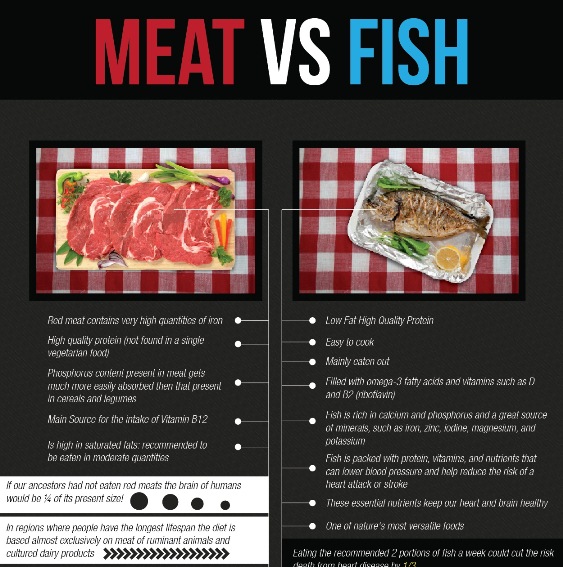 meat Vs fish 1