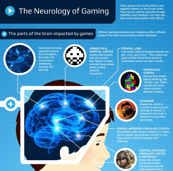 the neurology of gaming 1