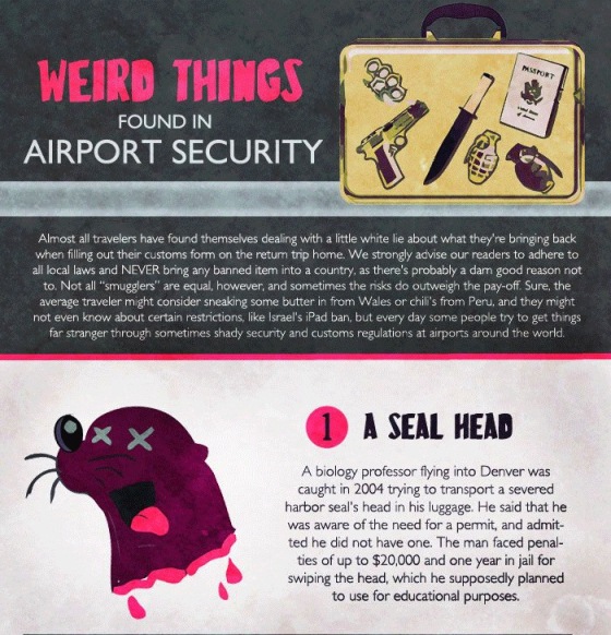 weird things found in airport security 1