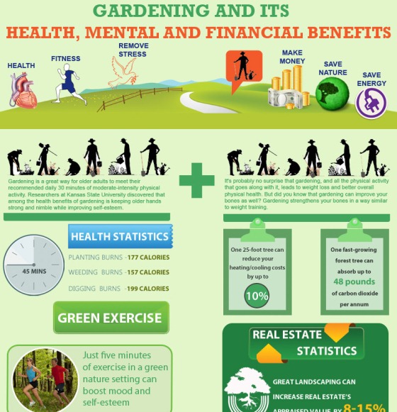 gardening and its health, mental and financial benefits 1