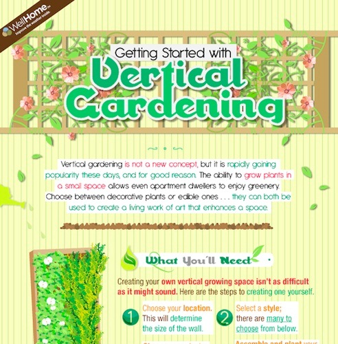 getting started with vertical gardening 1