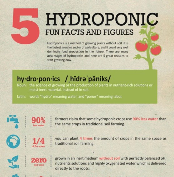 hydroponics gardening 1