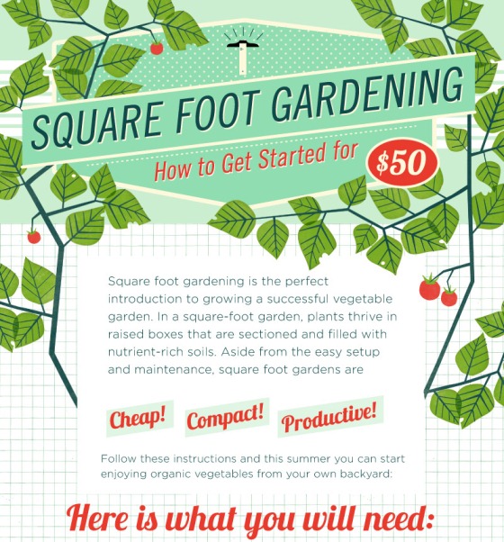 square foot garden 1