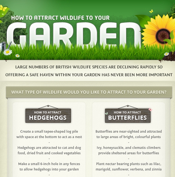 How to Attract Wildlife to your Garden (Infographic)