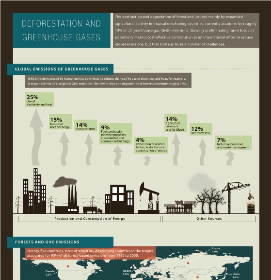 deforestation and greenhouse gases 1