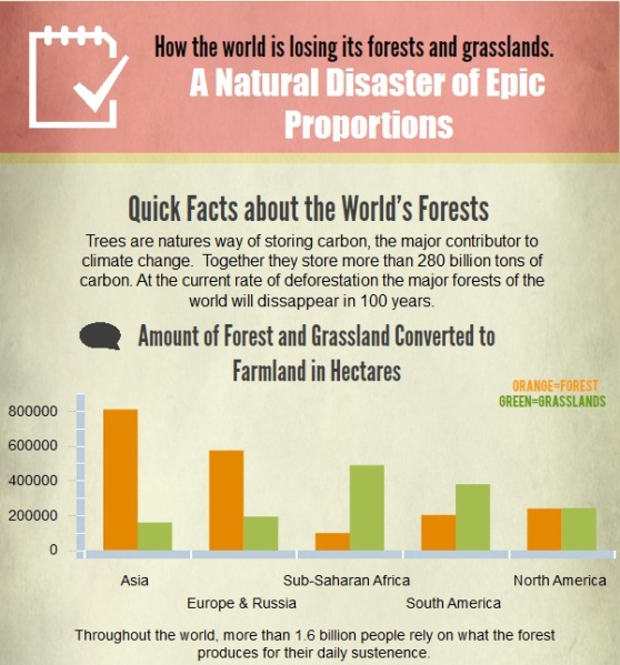 how the world is losing its forests and grasslands 1