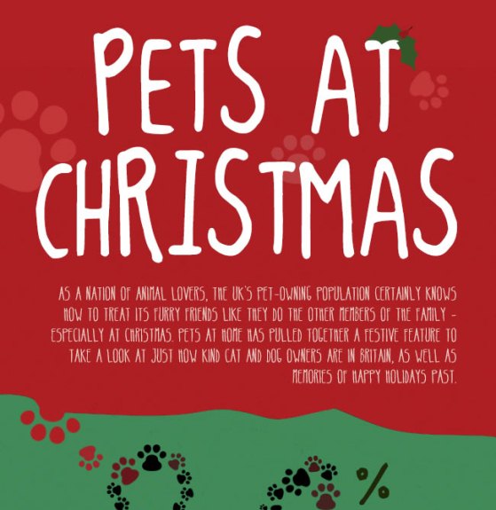 pets at christmas 1