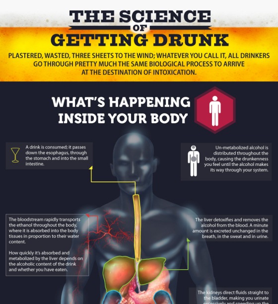 the science of getting drunk 1