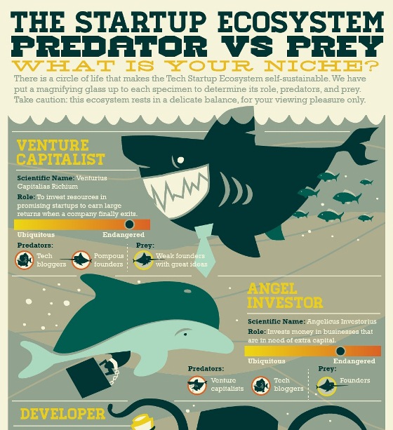 the startup ecosystem predator vs Prey  what is your niche 1