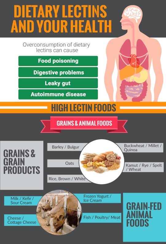 lectins