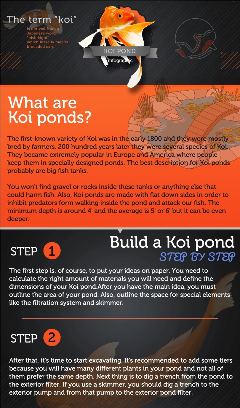 koi-pond-Infographic