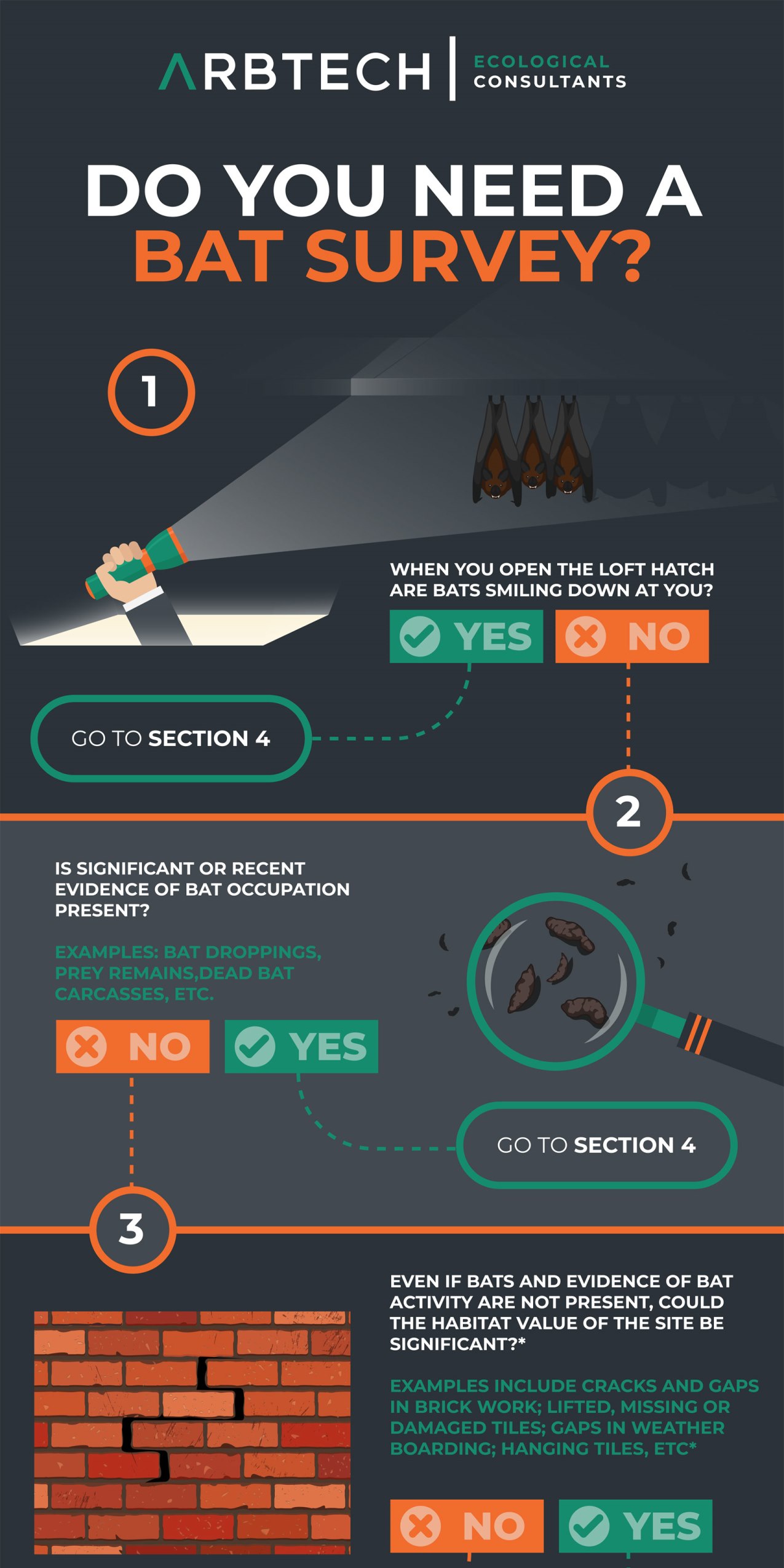 Bat Survey flowchart