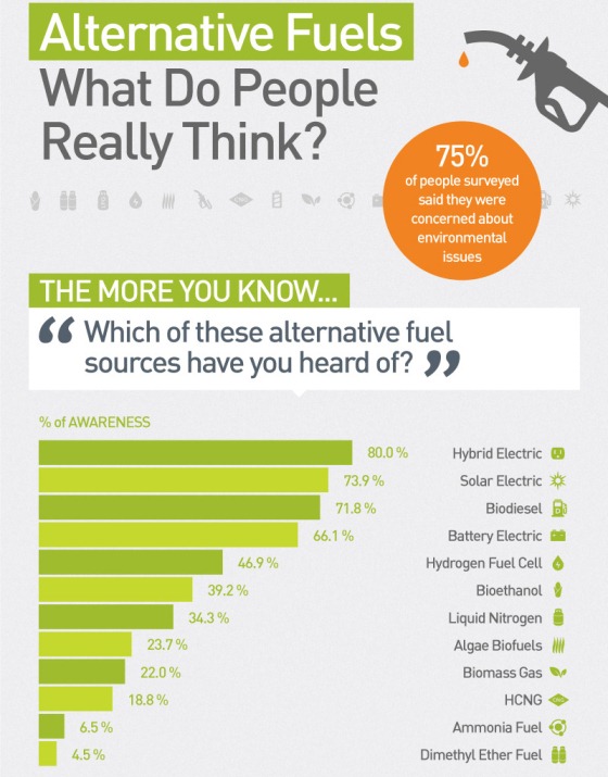 Alternative Fuels: What Do People Really Think? (Infographic)