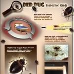 bed bug inspection guide