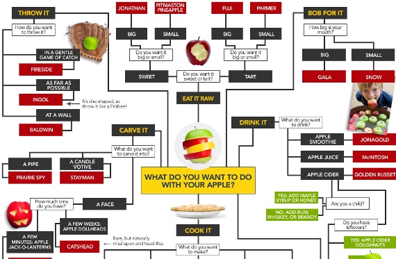 Choose The Right Apple (Infographic)