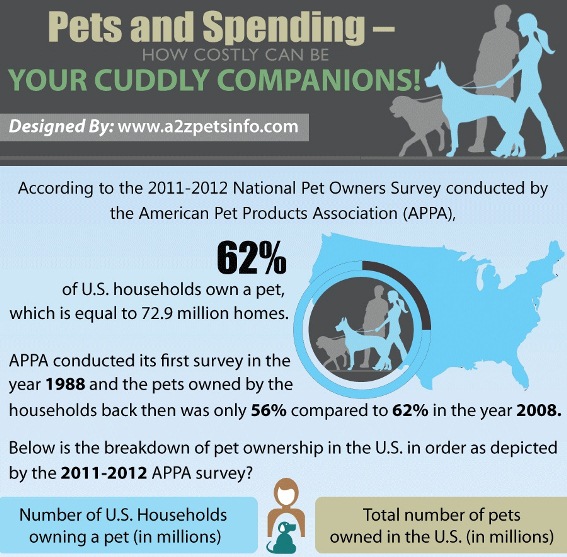 Pets and Spending — How Costly Can Be Your Cuddly Companions! (Infographic)