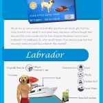 if dogs had credit cards