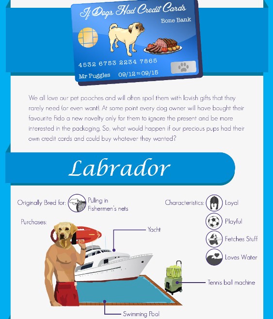 If Dogs Had Credit Cards (Infographic)