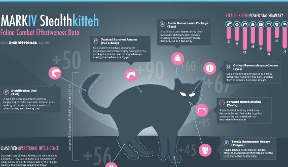 Stealth Kitteh (Infographic)