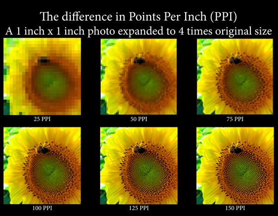 A PPI Comparison: From 25 PPI to 300 PPI (Infographic)