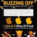 buzzing off how dying bees affect you