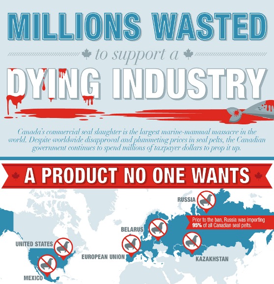 Canada’s Commercial Seal Slaughter: A Dying Industry (Infographic)