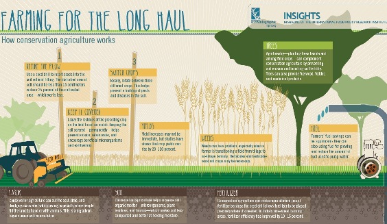 Farming for the Long Haul (Infographic)
