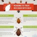 reasons to treat bed bugs with heat