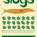 slugs know your enemy