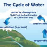 the c ycle of water