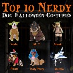 top 10 nerdy halloween costumes for dogs