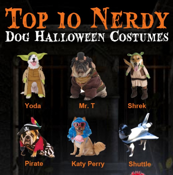 Top 10 Nerdy Halloween Costumes For Dogs (Infographic)