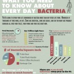 bacteria in our daily life 1