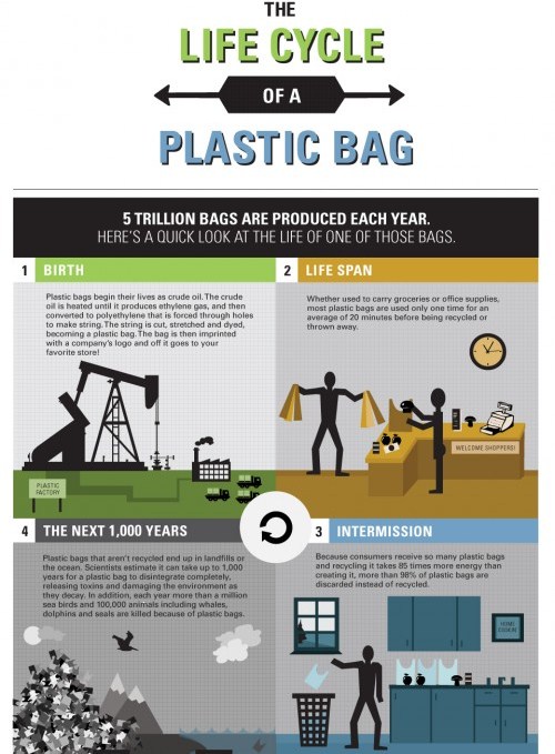 Life Cycle of A Plastic Bag (Infographic)