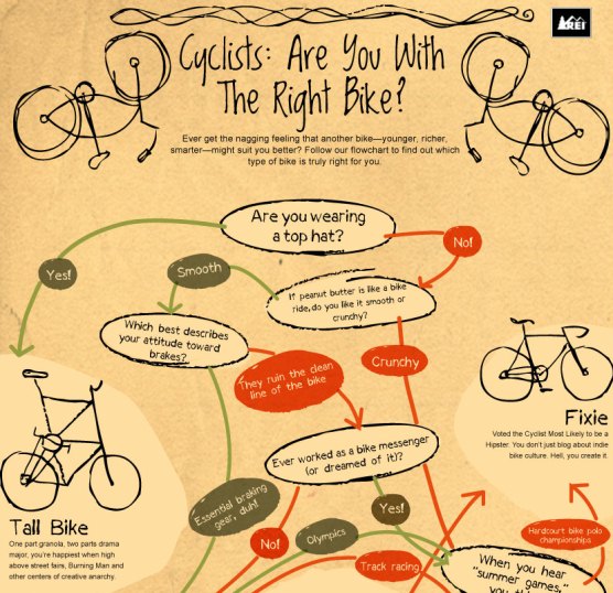 Top 10 Bike Infographics